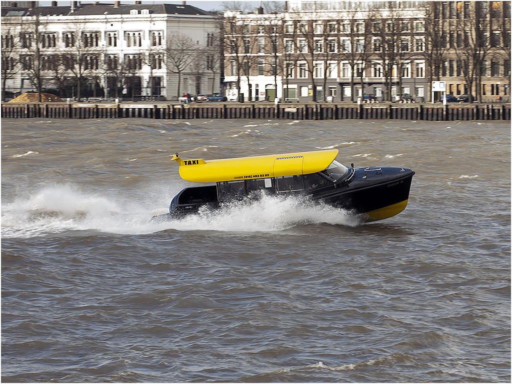 Water Taxi - Rotterdam