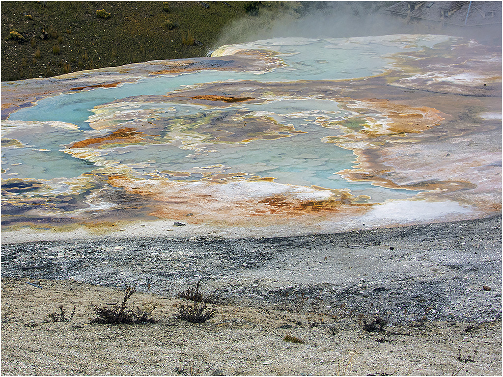 Mammoth Hot Springs