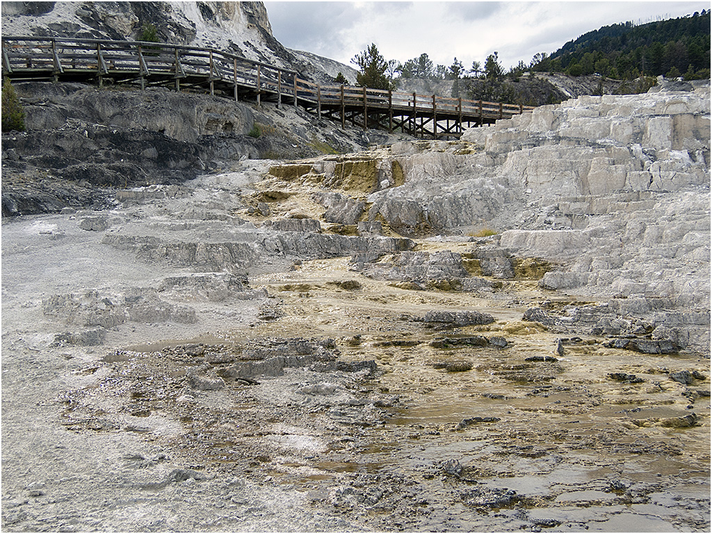 Mammoth Hot Springs
