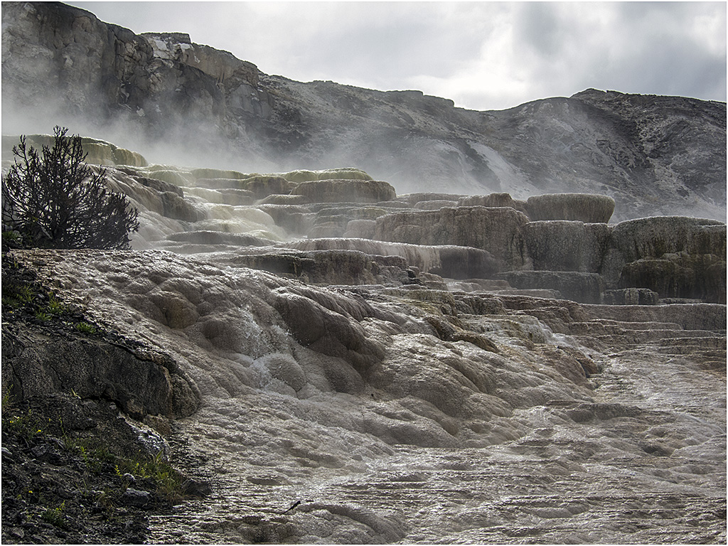 Mammoth Hot Springs