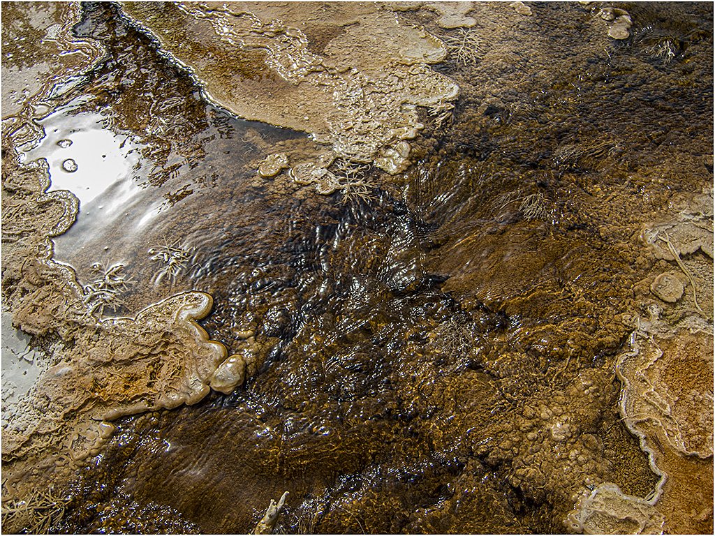 Mammoth Hot Springs