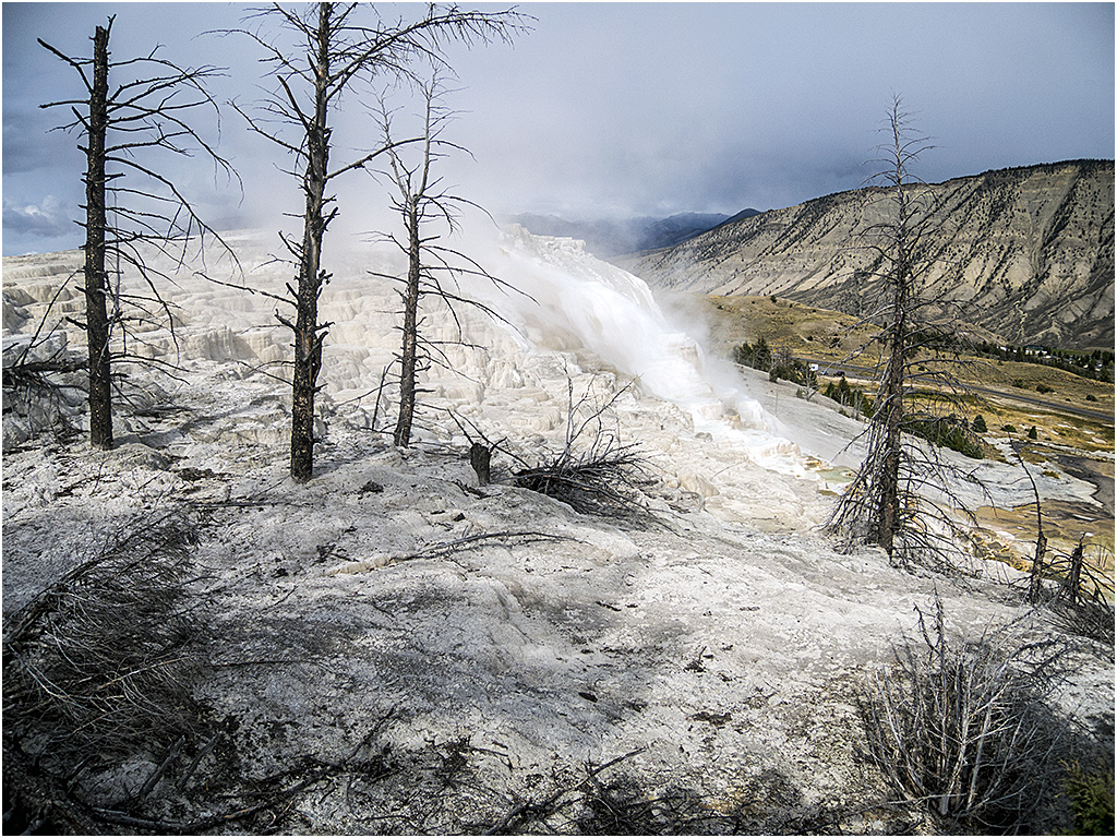 Mammoth Hot Springs