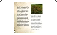 Pagina 10