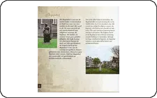 Pagina 26