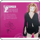 Inlay Voor Ginger Spice