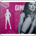 Inlay Achter Ginger Spice