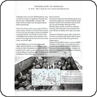 Blad 4