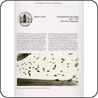Blad 2